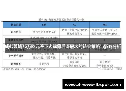 成都蓉城75万欧元签下边锋背后深层次的转会策略与影响分析